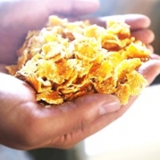 ذرت فرآوری شده